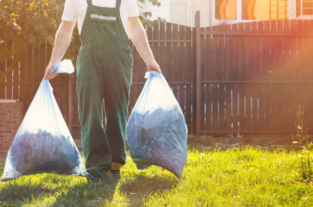 Best Dumpster Rental Services  in Spring Arbor, MI